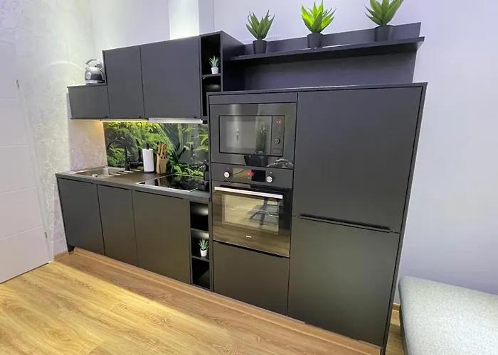 D&d Schoenbrunner Deluxe Apartamento Viena